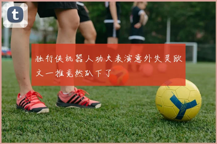 独行侠机器人功夫表演意外失灵欧文一推竟然趴下了